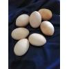 Яйце "Куряче" без підставки 65 мм 