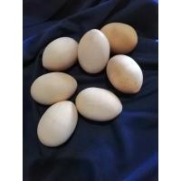 Яйце "Куряче" без підставки 65 мм 