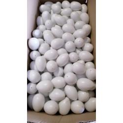 Яйце пластмасове 70 мм 10 ШТУК 