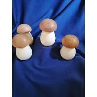 Сільниця грибочок