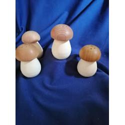 Сільниця грибочок