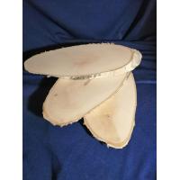 Зріз дерева 19-25 см