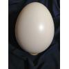 Яйце із пластмаси 200 мм