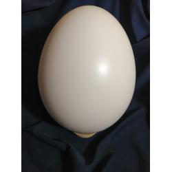 Яйце із пластмаси 200 мм