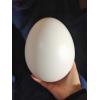 Яйце із пластмаси 200 мм