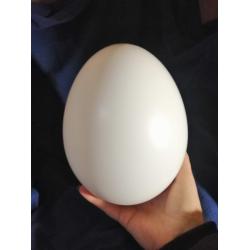 Яйце із пластмаси 200 мм