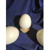 Яйце із пластмаси 100 мм 