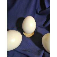 Яйце із пластмаси 100 мм 