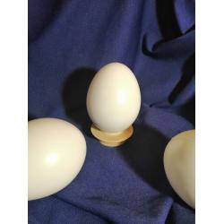 Яйце із пластмаси 100 мм 