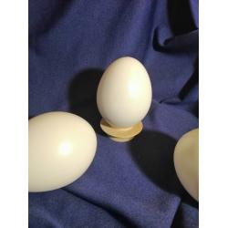 Яйце із пластмаси 100 мм 
